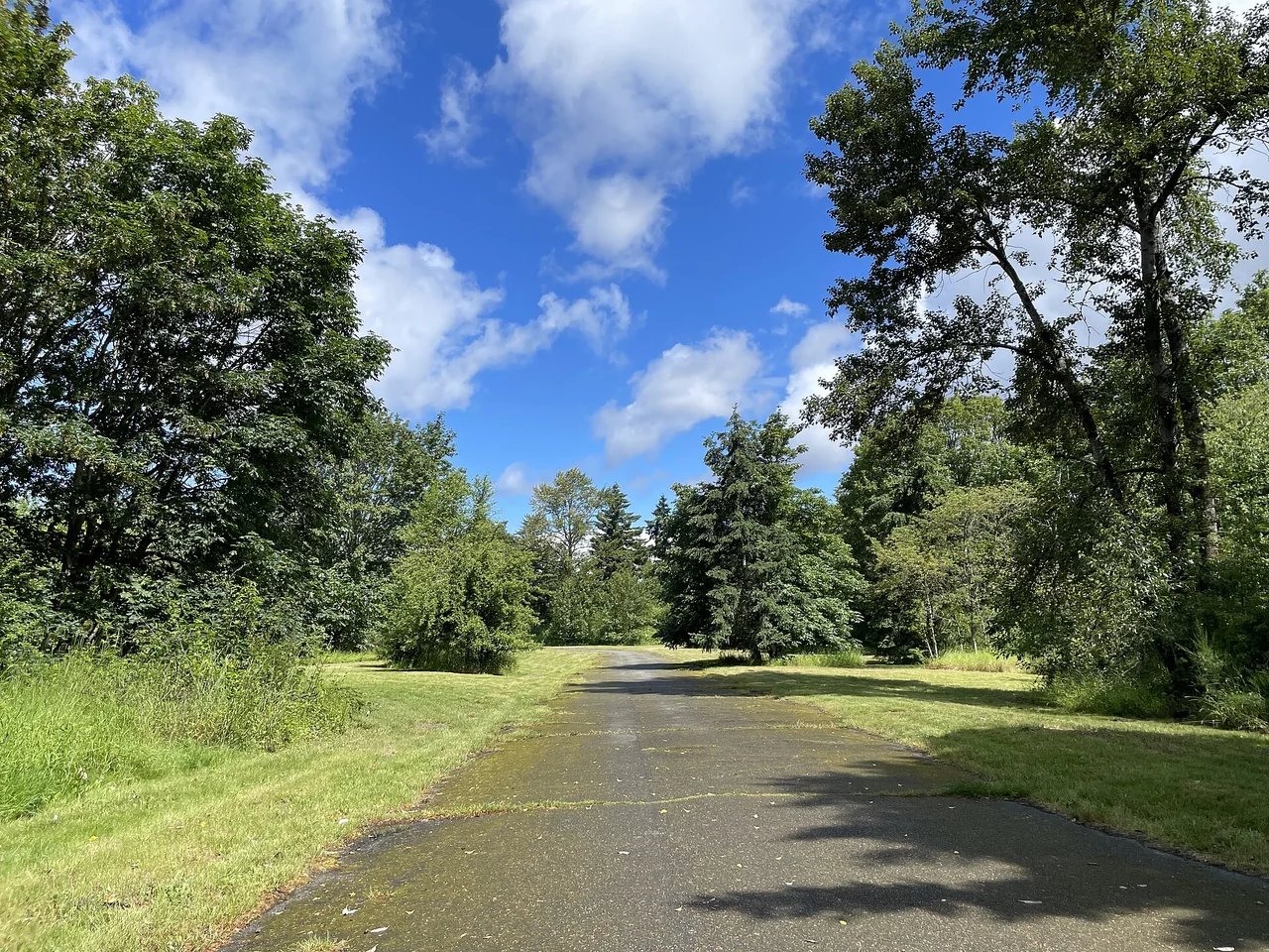 An old paved road runs between trees and grassy verges at Swan Creek Park.