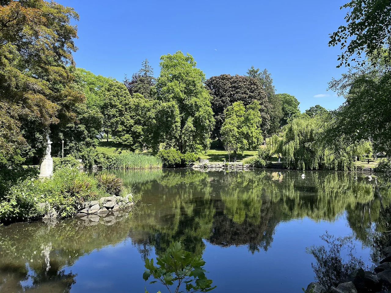 Trees and a small bridge reflected in the pond at Wright Park.