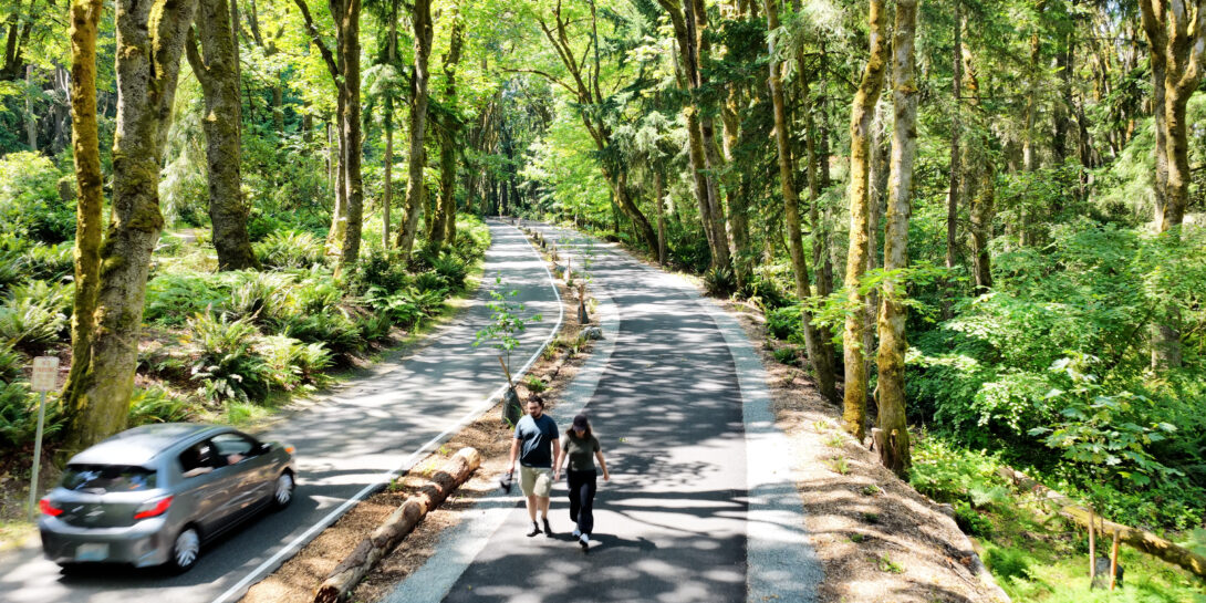 A forest trail at Point Defiance Park